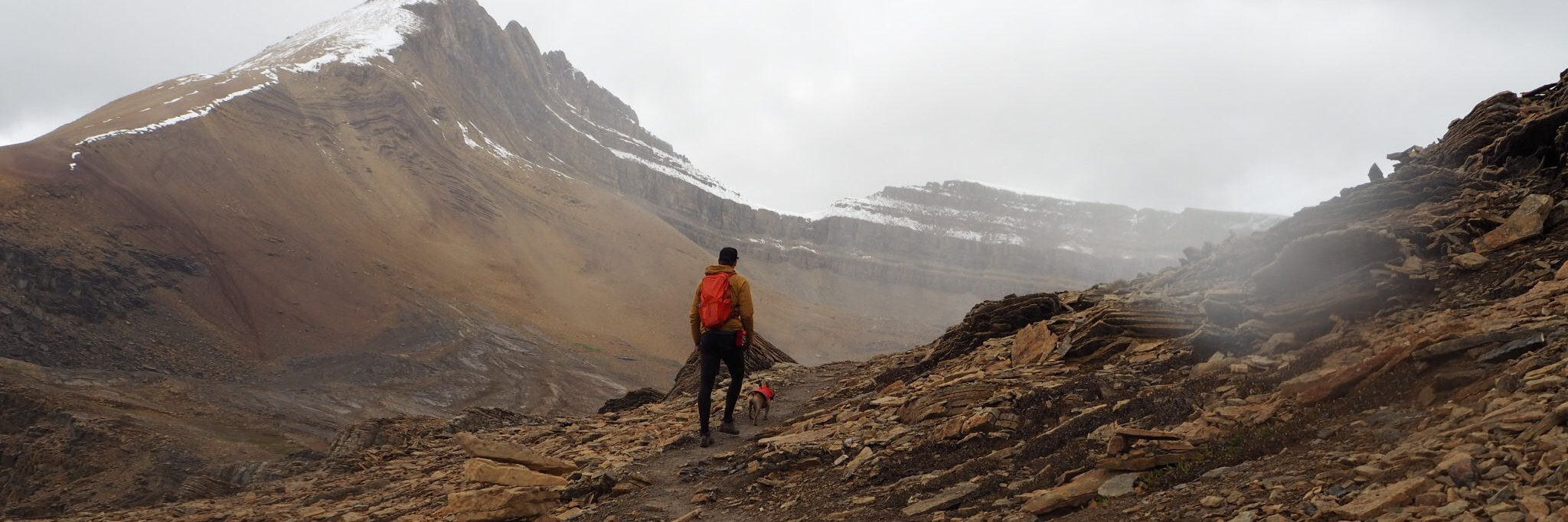 Doug van Spronsen banner