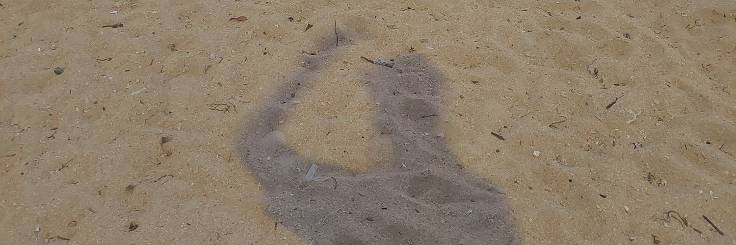 dev_akmal's profile banner image