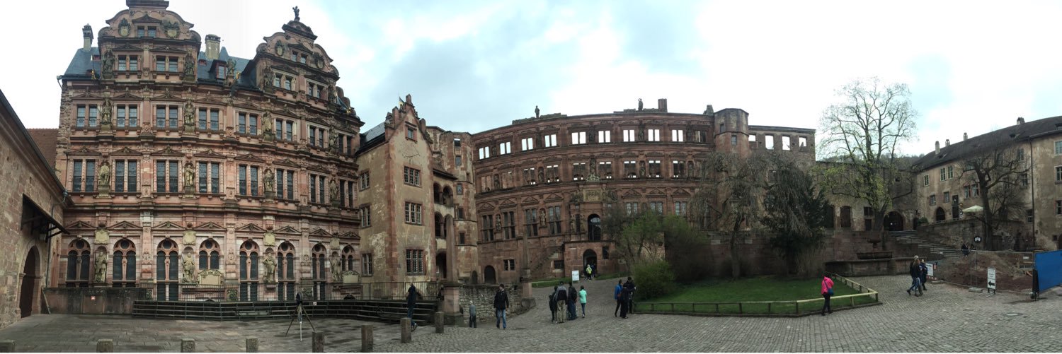 nico ave ⭐️⭐️⭐️ banner