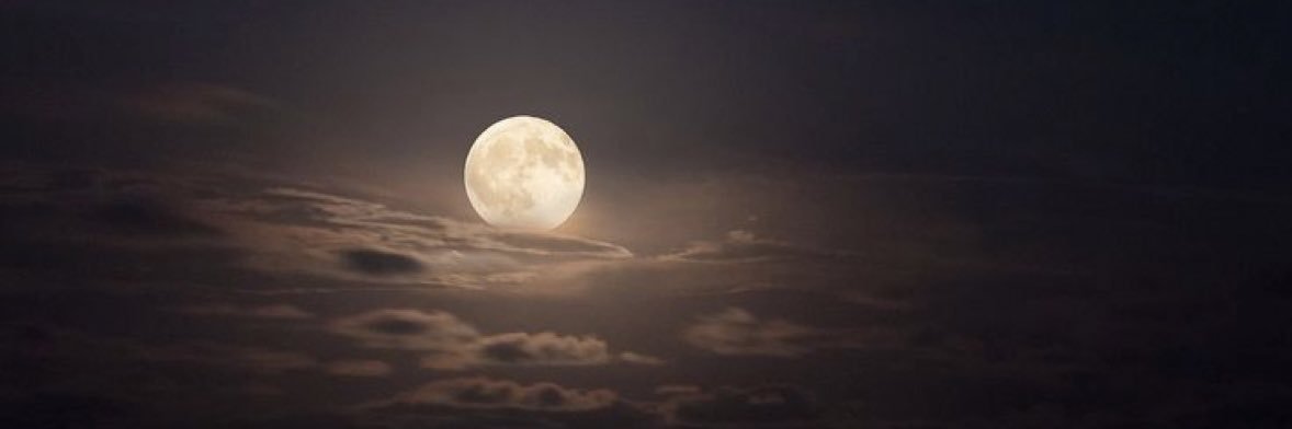 Shrouq_Alm's profile banner image