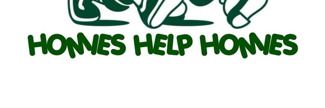 Frog8991's profile banner image