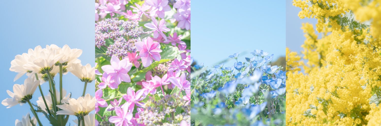 おいも's banner