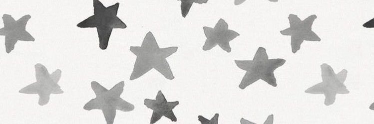 dante ☀️ banner