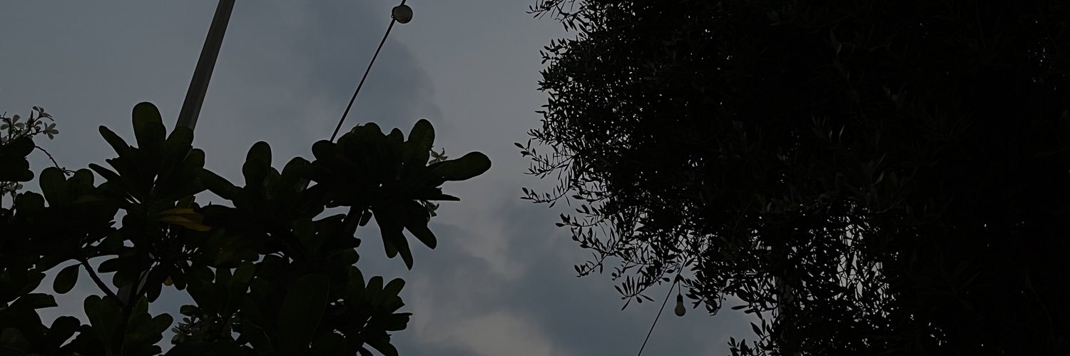 _lLaylax's profile banner image