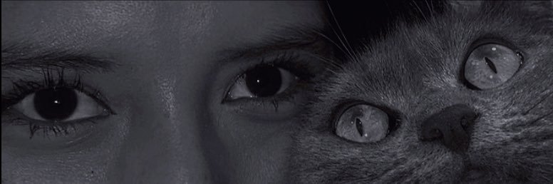 AnabelDuche's profile banner image
