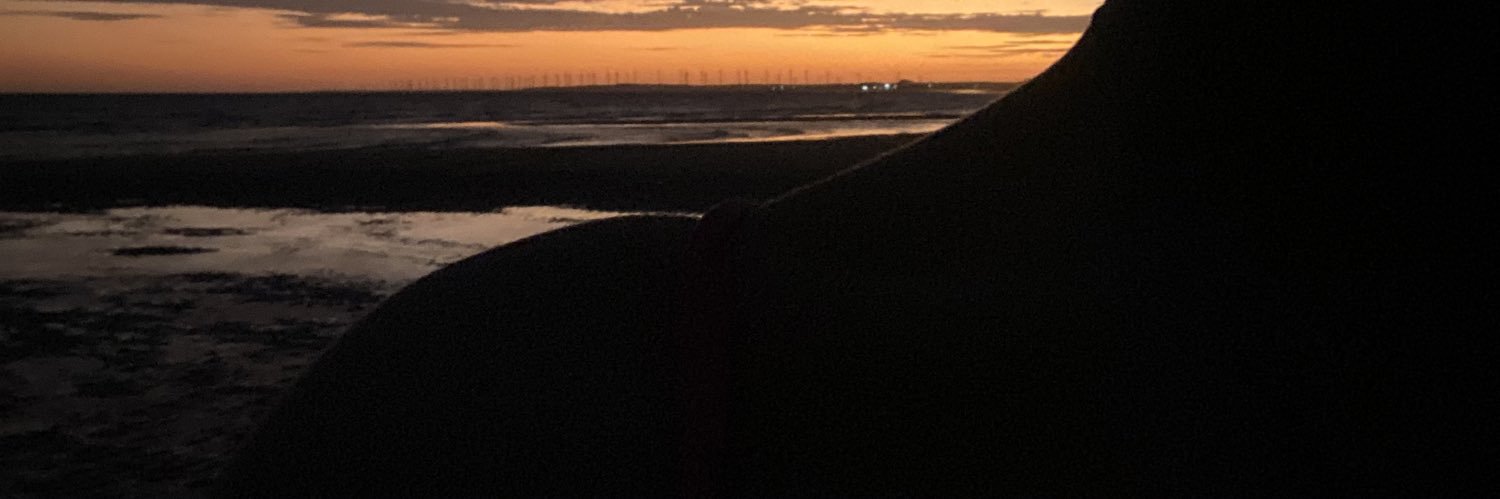 SantozBe's profile banner image