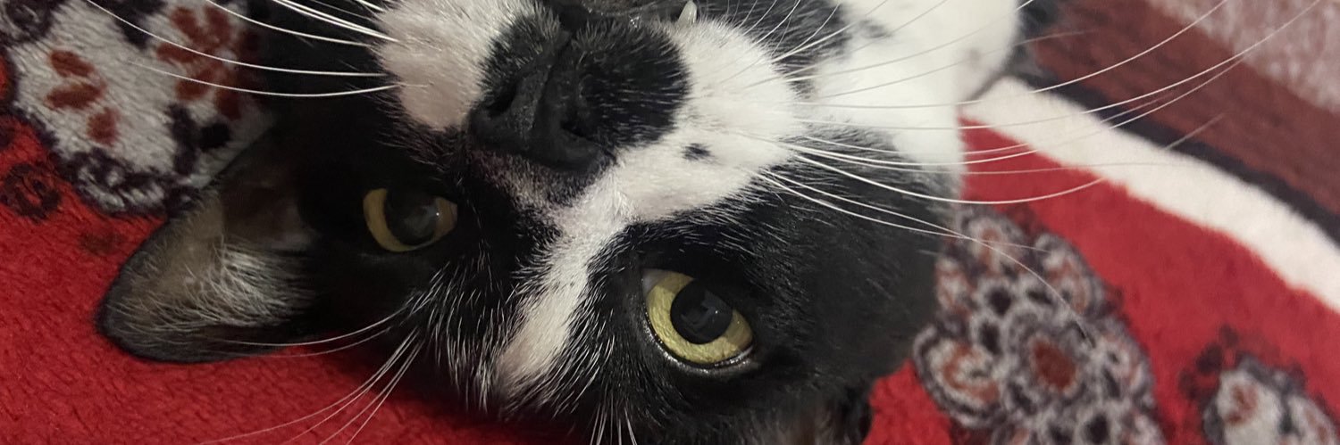 fatblesss's profile banner image