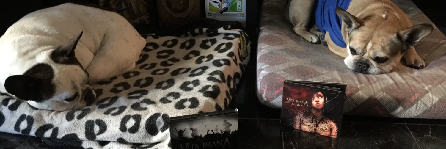Kratos_Frenchie's profile banner image