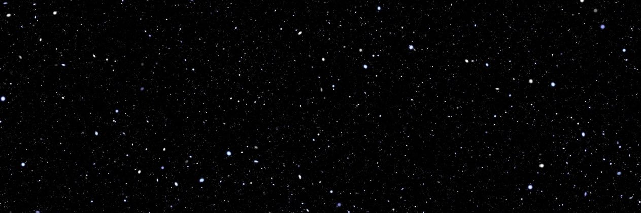 cryptomouse11's profile banner image