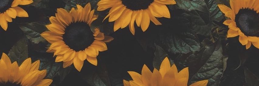 fernnnwalters's profile banner image