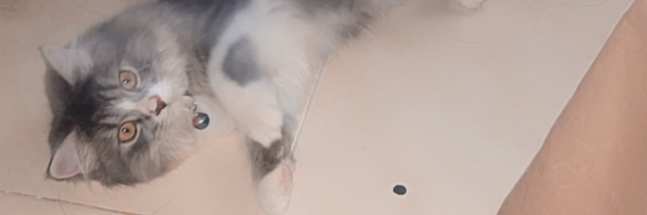 Deaone3's profile banner image