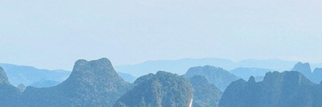 Dcl. banner