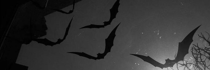 lulnextdoor's profile banner image