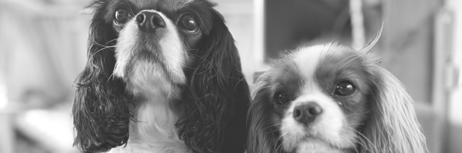 ryanharley_'s profile banner image