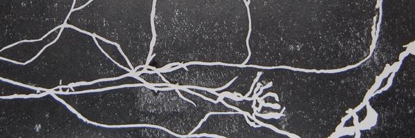 tojski Profile Banner