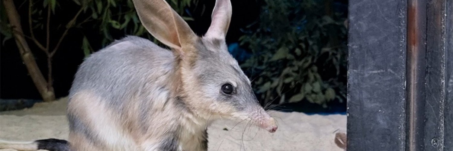 Mason Thornton 🍥 banner