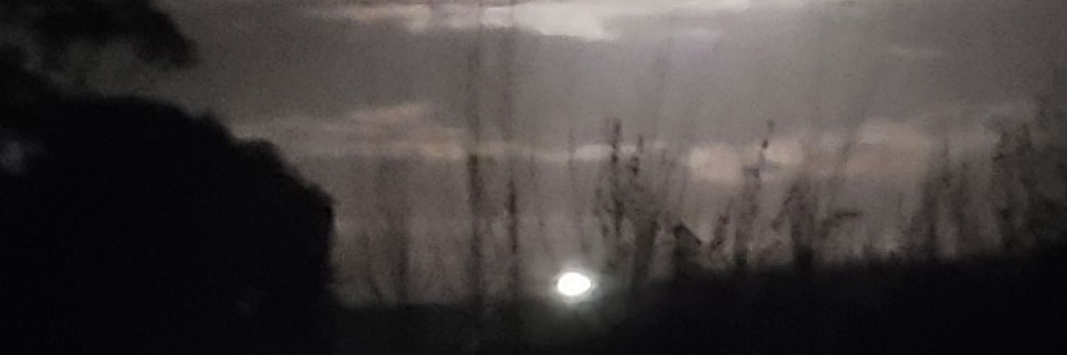 NippySparrow1's profile banner image