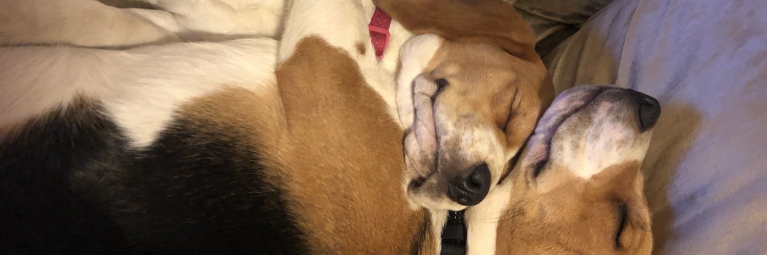 JimmyyRustler's profile banner image