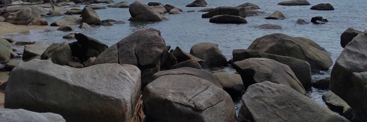 luuhongthu2's profile banner image