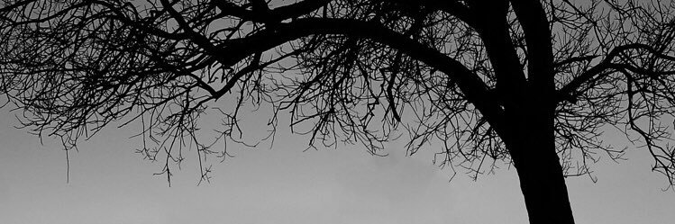RGdeSouza's profile banner image