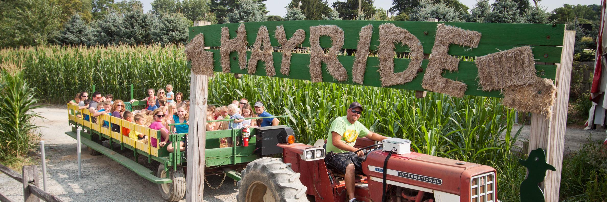 Corn Cob Acres (@corncobacres) / Posts / X