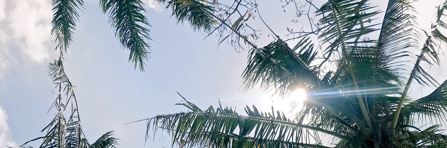 wendylee___'s profile banner image