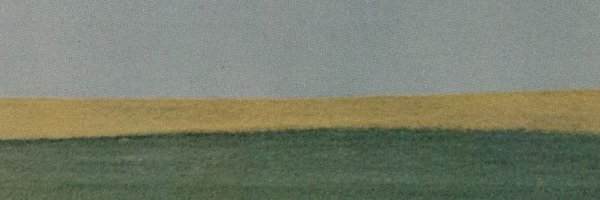 MooniMochaCat Profile Banner