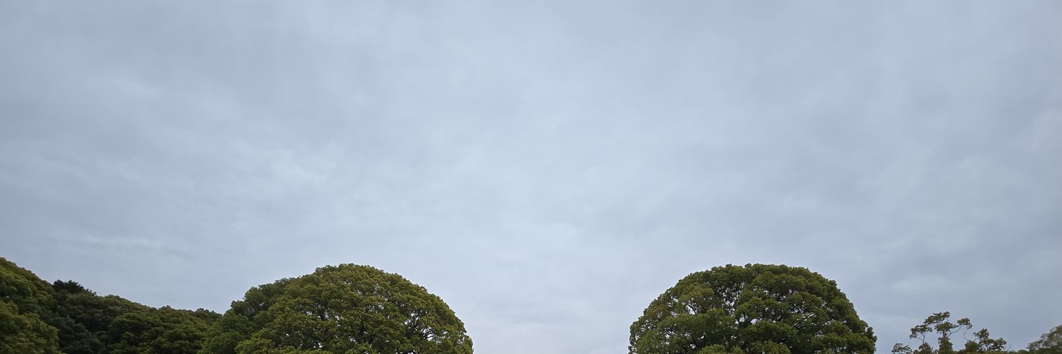 RestFortnite's profile banner image