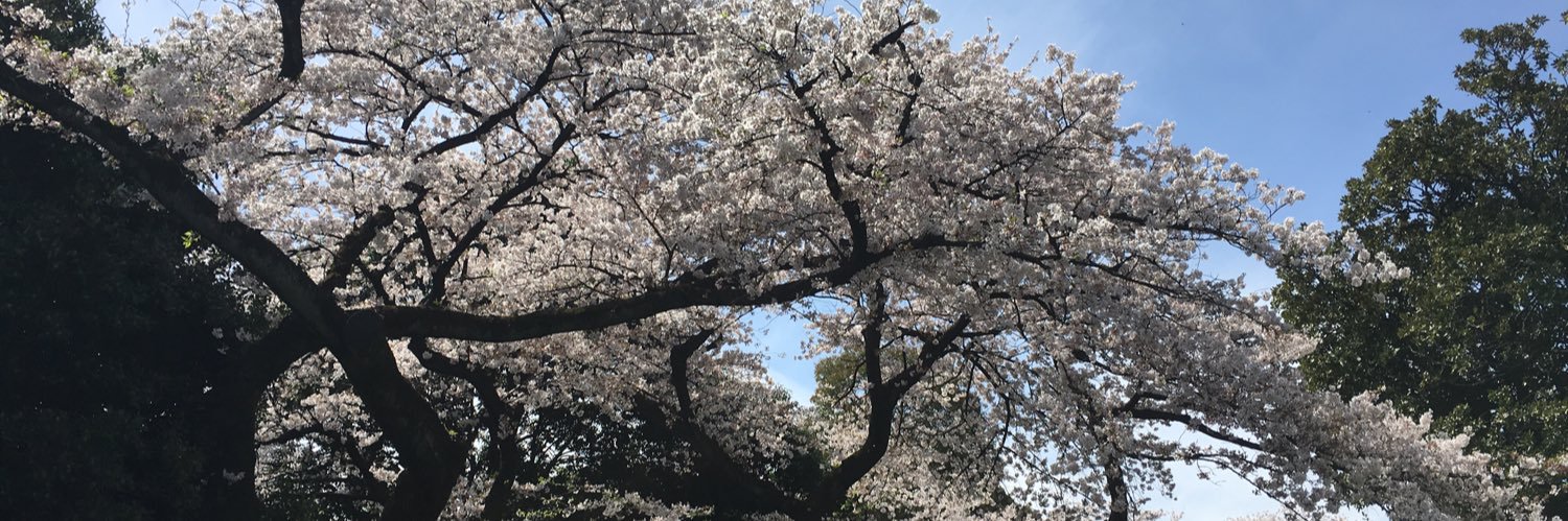 BalletKumi's profile banner image