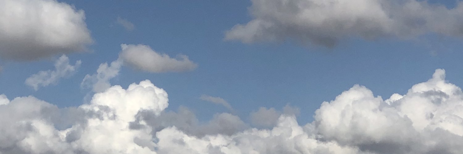 🌂 𝙿𝚃. 𝙷 banner