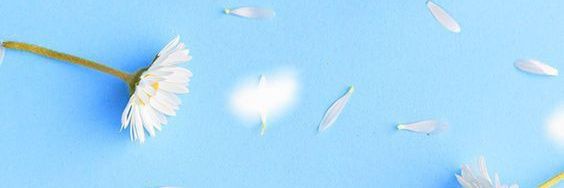 sandyta_caro's profile banner image