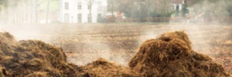 XRscout banner