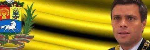 rocimarin's profile banner image