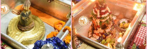 TanviSharmaJpr Profile Banner