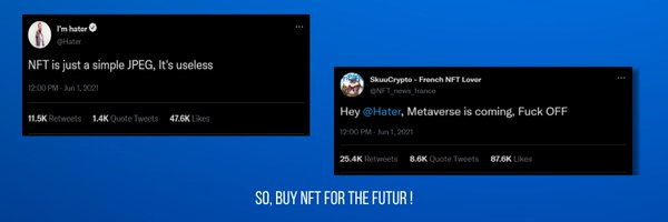 SkuuCrypto - French NFT Lover Profile Banner
