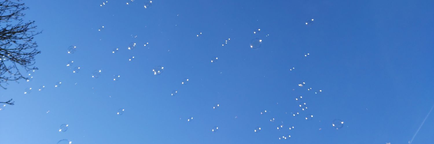 FauveRuckert's profile banner image