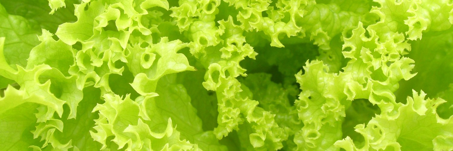 British Leafy Salads Association banner