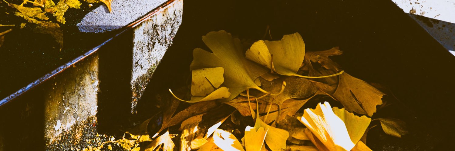 SAYUZO°✩.*˚ banner