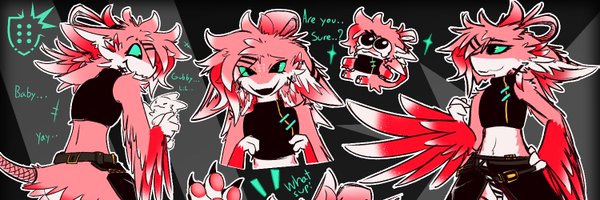 nsf_anti Profile Banner