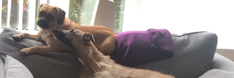 erynLA683's profile banner image