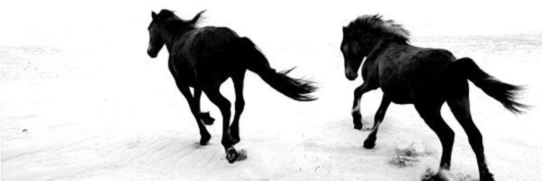 AykurtGulbahar's profile banner image