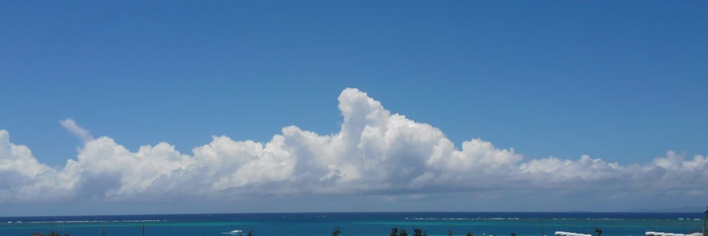 g_crow_nuu's profile banner image