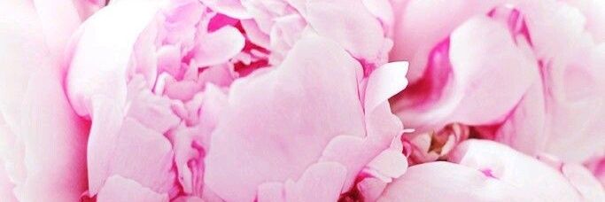 EsparzaStephy's profile banner image