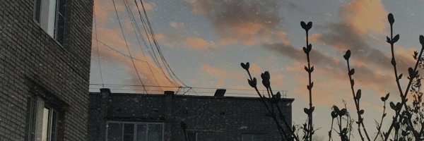 lil_froq13 Profile Banner