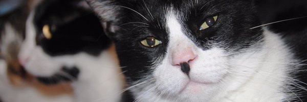 jgreid Profile Banner