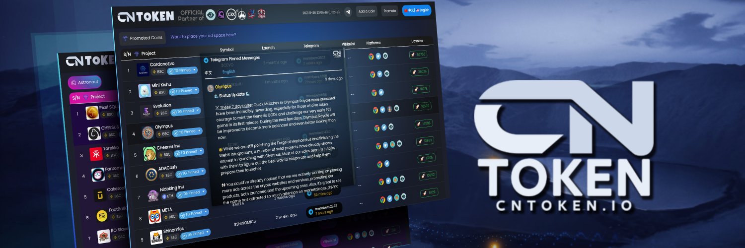 CNTOKEN.io banner