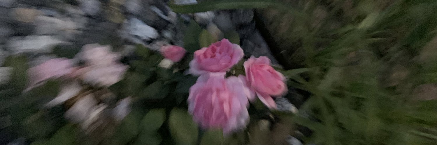 соня 🕊🏳️‍🌈 трахат лукум banner