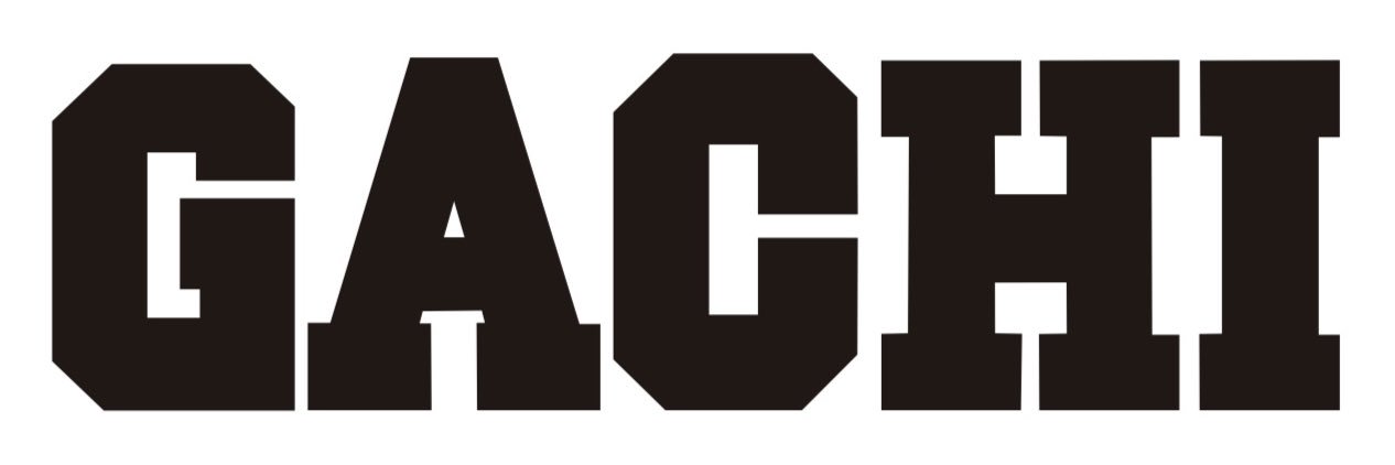 GACHIROGUES's profile banner image
