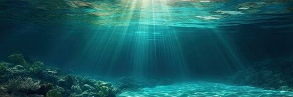 silentseawolf Profile Banner