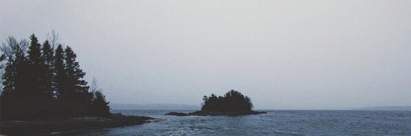 robinsalant's profile banner image